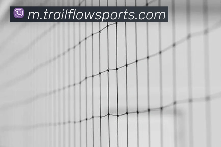 App Interface Preview