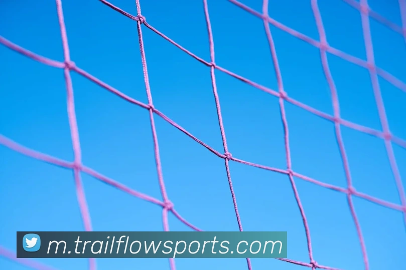 体育下注APP 封面图